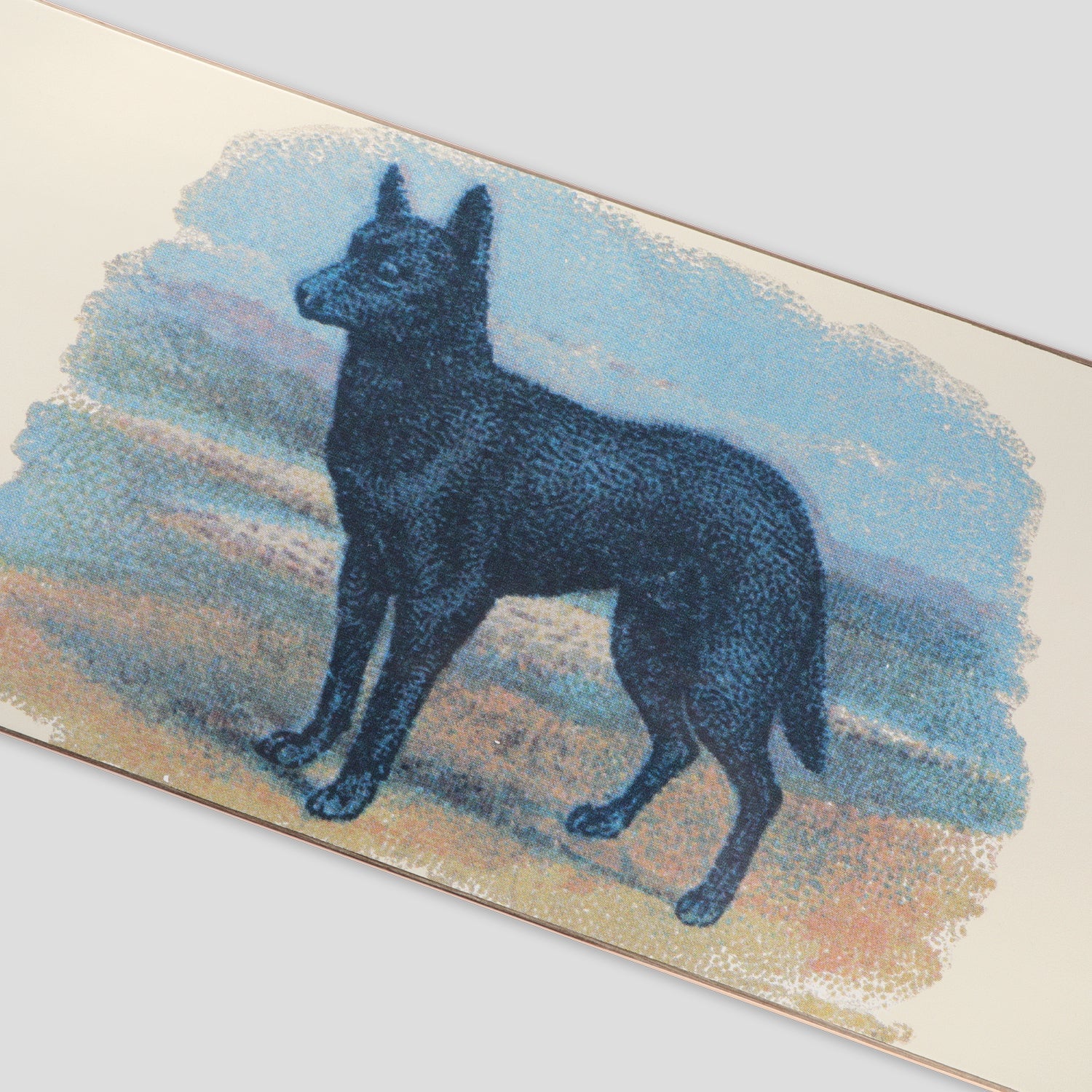 0000s_0074_HYBRID_VIGOUR_-_KELPIE_D1_copy.jpg