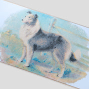 Pass~Port Hybrid Vigour Series - Collie