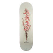 Pass~Port Pro Reissues Pink Heath - Callum Paul