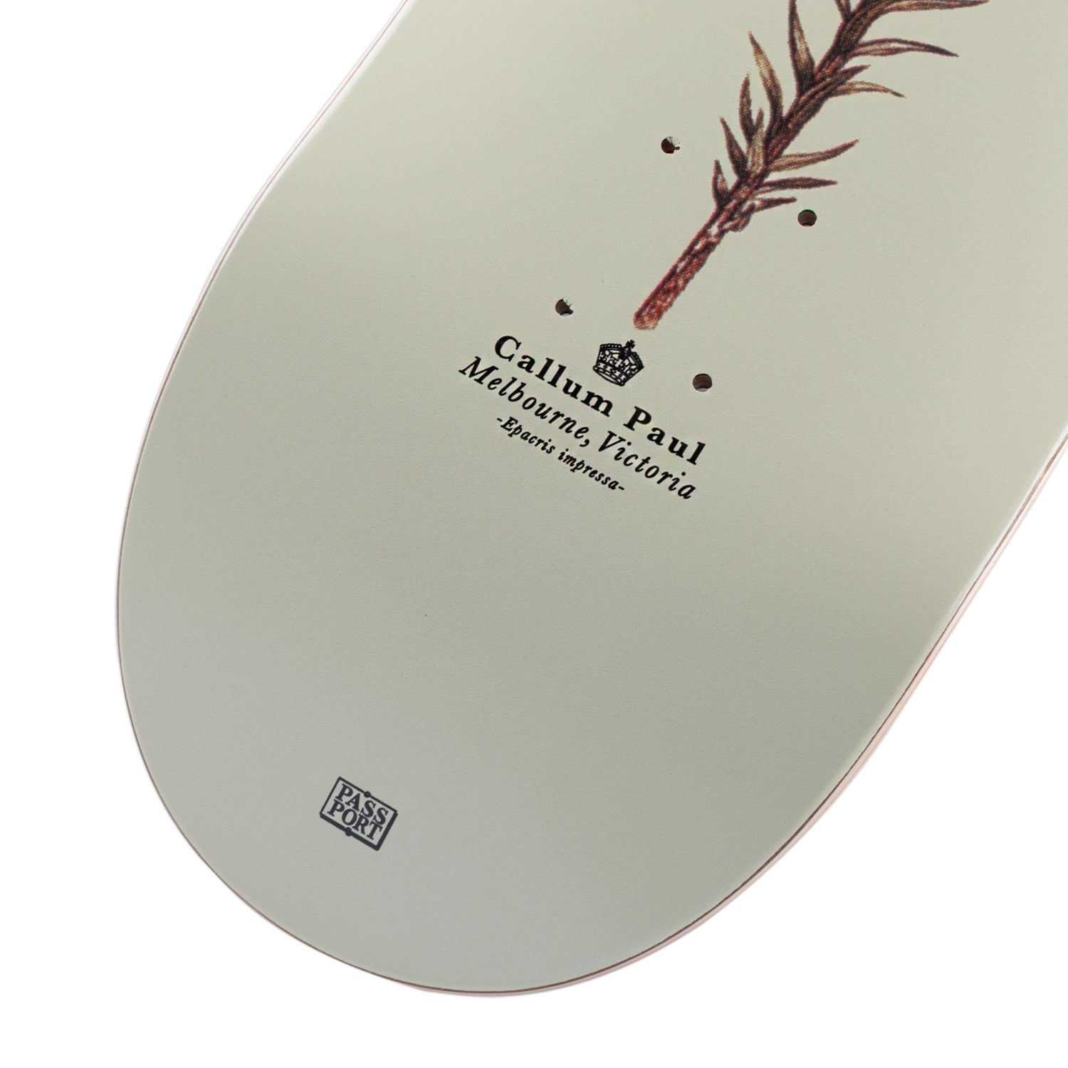 Pass~Port Pro Reissues Pink Heath - Callum Paul